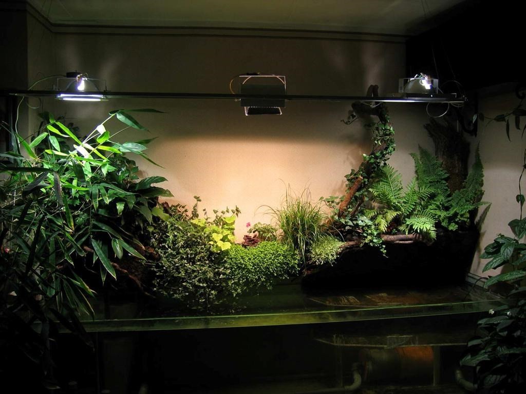 Подсветка комнатных растений в условиях квартиры