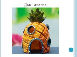 Дом - ананас 