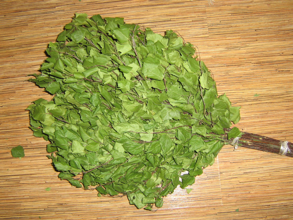 Веник из березовых листьев - отличная идея для тех, кто хочет получить в бане максимум пользы