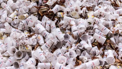 Scientists Have Found A Fungus That Feasts On Plastic 