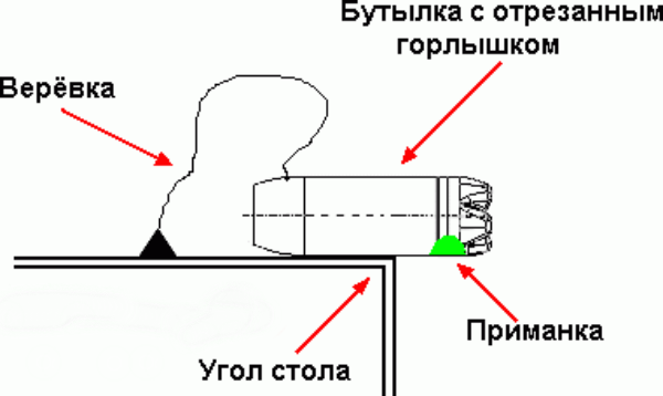 Ловушка из пластиковой бутылки своими руками