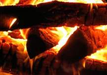 Как правильно топить баню с металлической или кирпичной печью, чем лучше и можно ли: сосновыми дровами, тополем, липой, дубом и брикетами