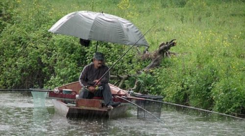 рыбалка в дождь