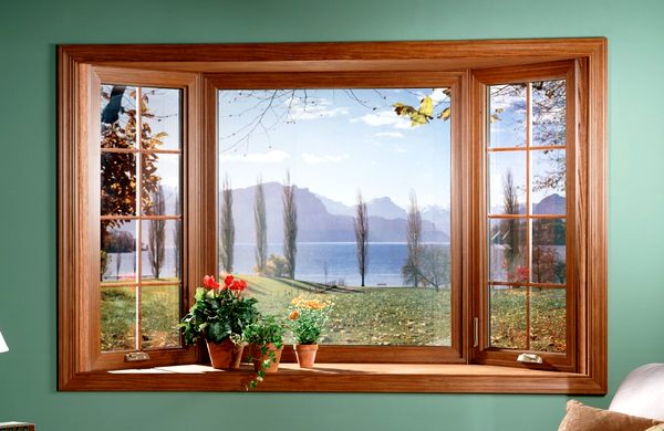 деревянные окна, окна из дерева, вид из окна, пейзаж из окна, цветы на окне, преимущества деревянных окон