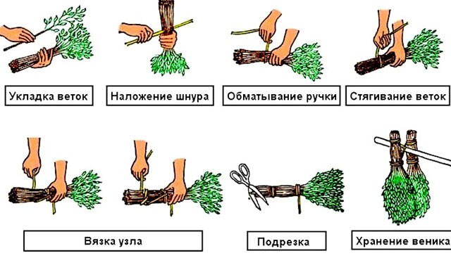 Сбор материала и заготовка веника