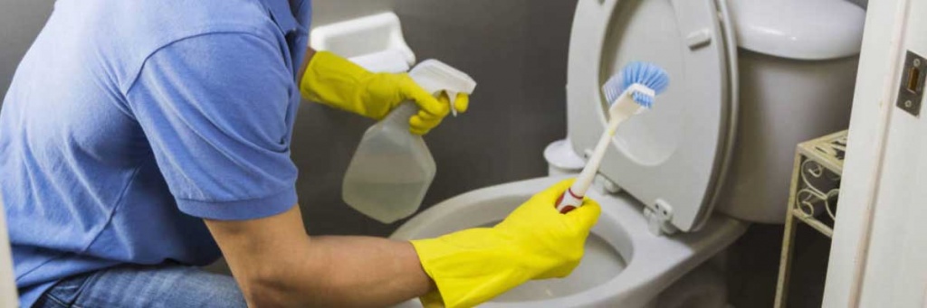 Дезинфицирующие средства для уборки в санузле туалете