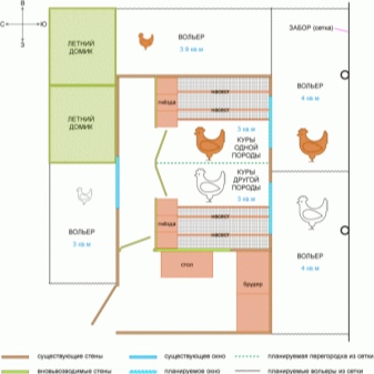Особенности строительства зимнего курятника на 10 кур