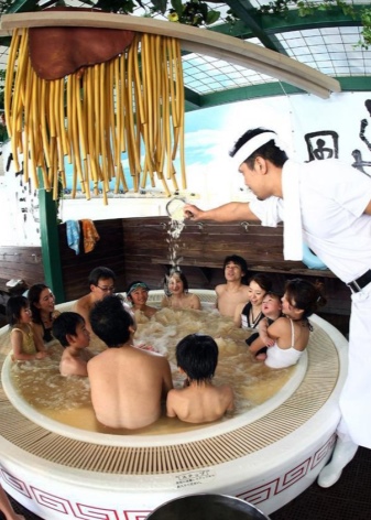Японская баня: виды и тонкости обустройства