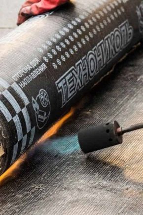Кровля «ТехноНИКОЛЬ» : виды и тонкости монтажа