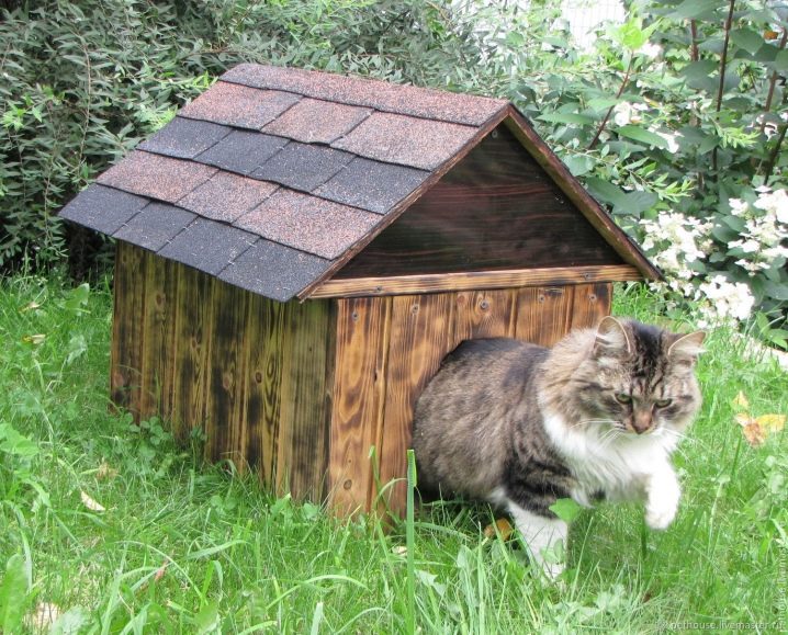 Уличные домики для кошек: выбор, обустройство и установка