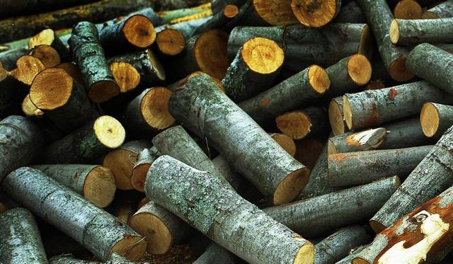 Осиновые дрова не дадут хорошего жара, зато помогут очистить дымоход от сажи