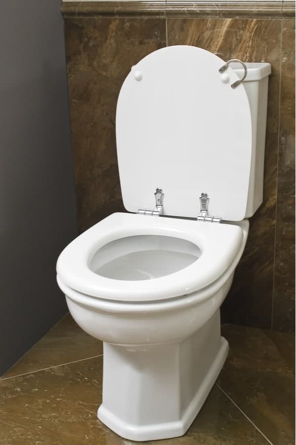 Your Toilet Type