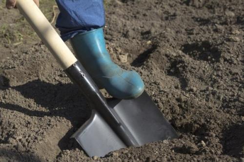 Как правильно копать лопатой землю. Как правильно копать в огороде: советы бывалых 05