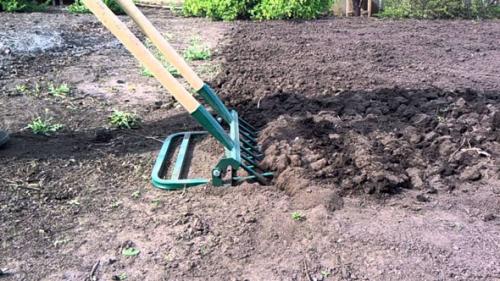 Как правильно копать лопатой землю. Как правильно копать в огороде: советы бывалых 07