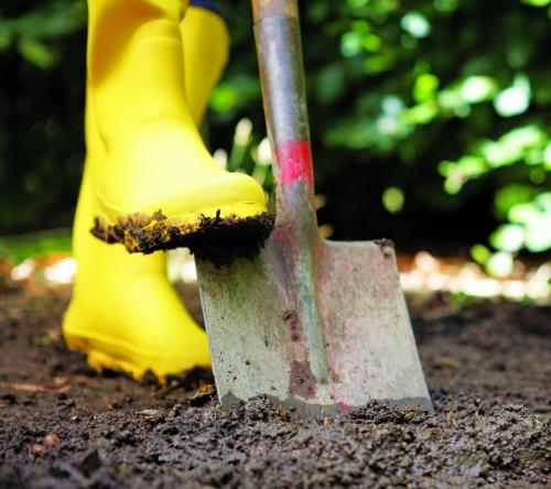 Как правильно перекапывать огород. Копать или не копать огород осенью?